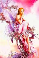 Maria Diosel Salvani 1 5733481