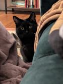 Salem A 5888602